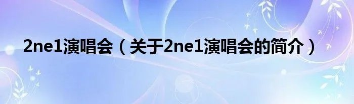 2ne1演唱会（关于2ne1演唱会的简介）