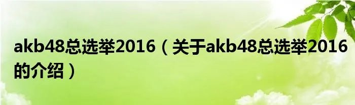 akb48总选举2016（关于akb48总选举2016的介绍）