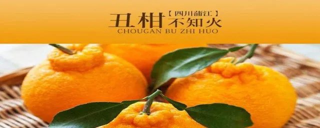 不知火是哪个水果的学名 不知火是我们常吃的哪种水果的学名