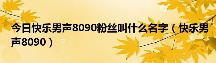 今日快乐男声8090粉丝叫什么名字（快乐男声8090）