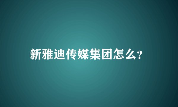 新雅迪传媒集团怎么？