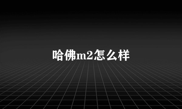 哈佛m2怎么样