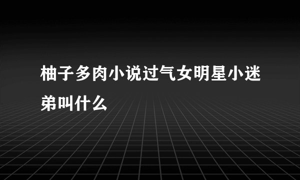 柚子多肉小说过气女明星小迷弟叫什么