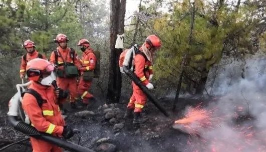 丽江大火被扑灭 83名消防继续坚守清除烟点