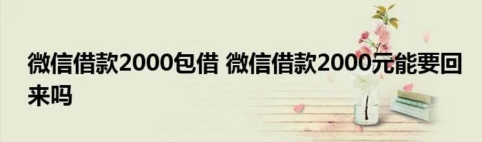 微信借款2000包借 微信借款2000元能要回来吗