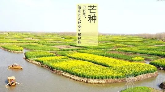 芒种代表的寓意