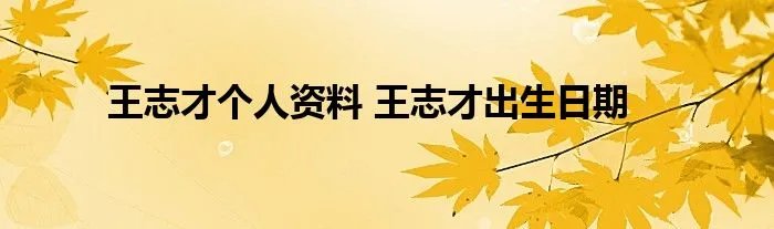 王志才个人资料 王志才出生日期