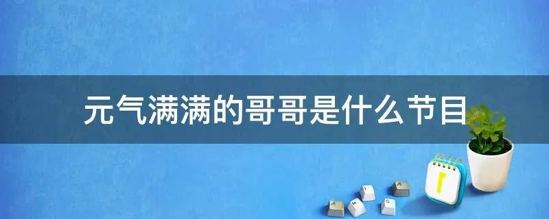 元气满满的哥哥是什么节目