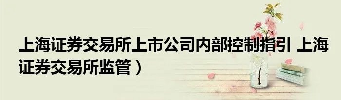 上海证券交易所上市公司内部控制指引 上海证券交易所监管）