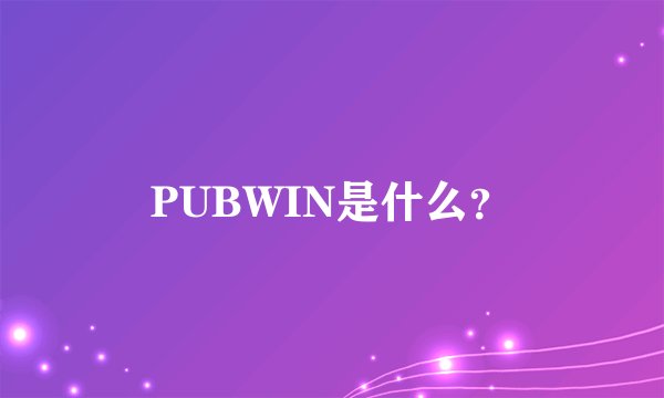 PUBWIN是什么？