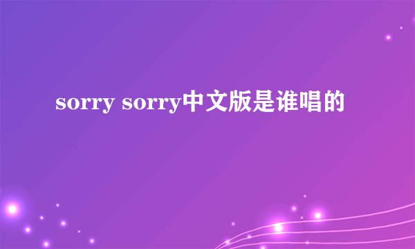 sorry sorry中文版是谁唱的