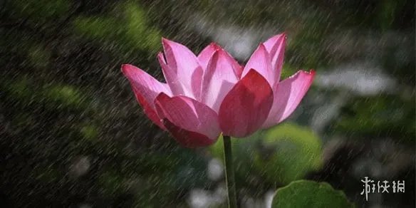 杭州出梅时间是什么时候2021 2021杭州出梅时间介绍