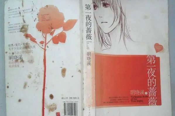 第一夜的蔷薇结局解释,第一夜的蔷薇结局是不是没写完