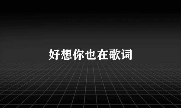 好想你也在歌词