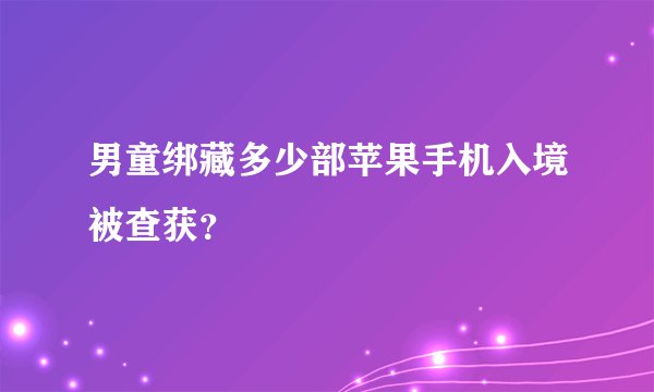 男童绑藏多少部苹果手机入境被查获？