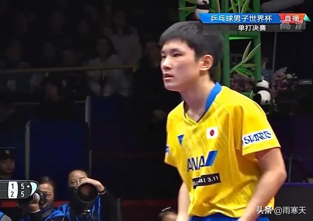 樊振东评价张本智和,称其“非常向上,永远打不服”,是怎么回事?如何评价?