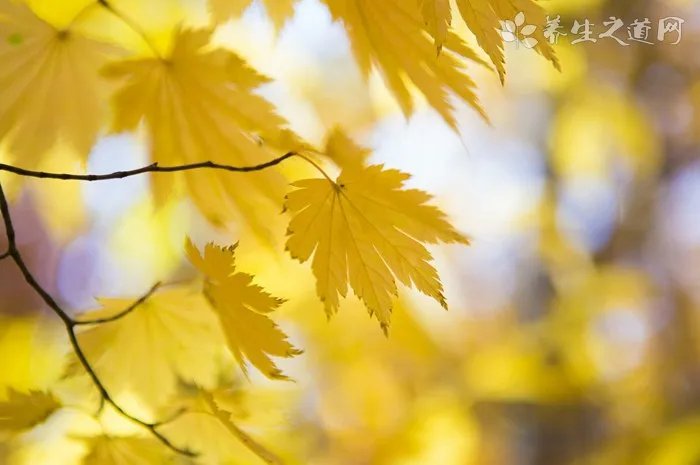 锐志实际油耗是不是比表显示高？