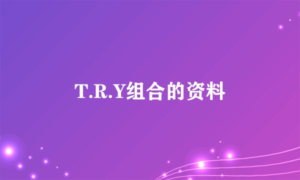 T.R.Y组合的资料