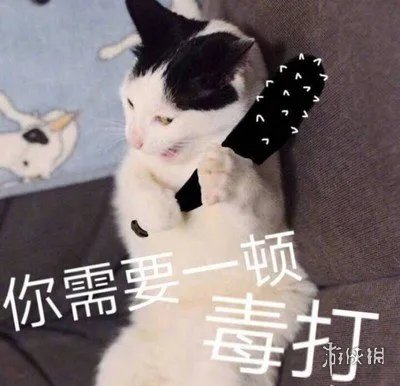 红茶女生什么意思 红茶女生梗出处介绍