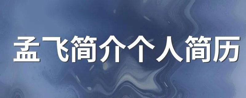 孟飞简介个人简历 孟飞介绍