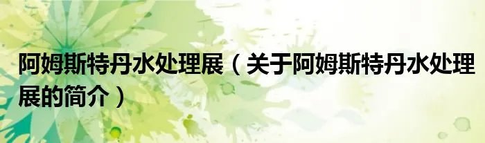 阿姆斯特丹水处理展（关于阿姆斯特丹水处理展的简介）