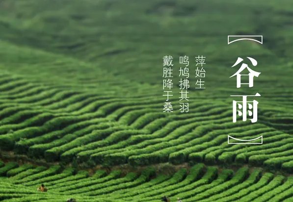 二十四节气图一套 美得令人窒息的二十四节气图