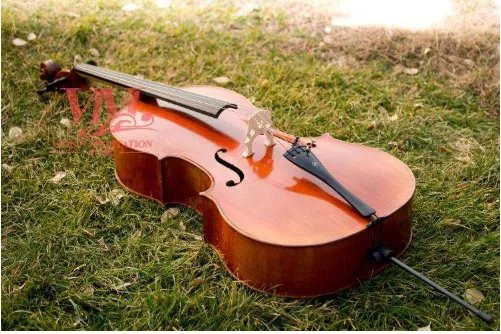 大提琴有几根弦?