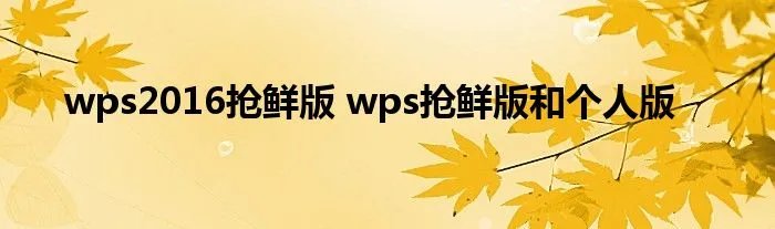 wps2016抢鲜版 wps抢鲜版和个人版
