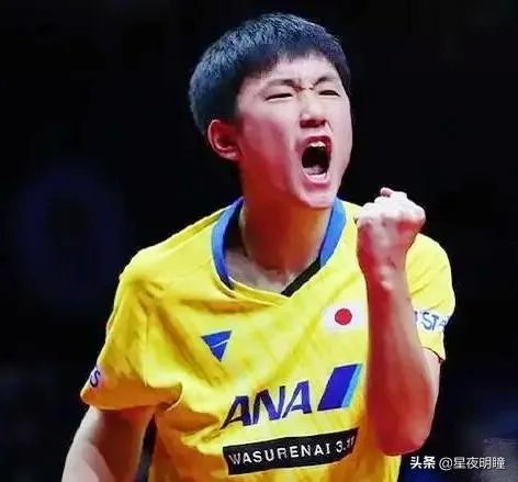 樊振东评价张本智和,称其“非常向上,永远打不服”,是怎么回事?如何评价?