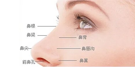 做假体隆鼻大概需要多少钱？
