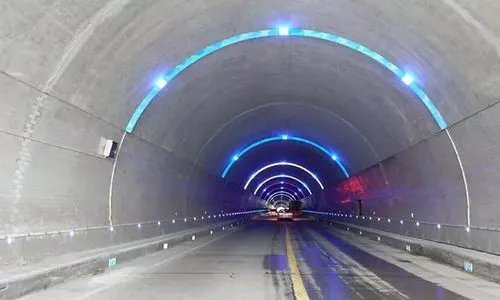 交警在高速隧道抓了1小时的兔子,罪魁祸首是什么?