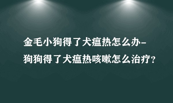金毛小狗得了犬瘟热怎么办-狗狗得了犬瘟热咳嗽怎么治疗？