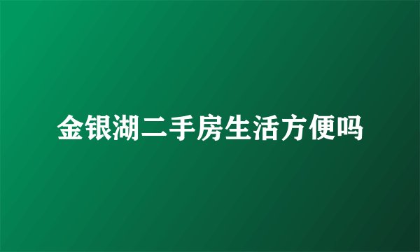 金银湖二手房生活方便吗