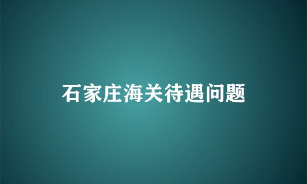 石家庄海关待遇问题