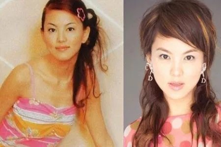 李湘整容前后照片曝光 “人造李湘”后悔整容变李湘