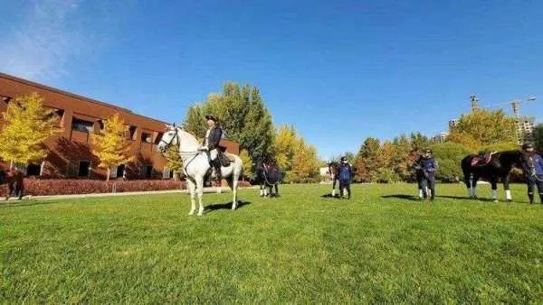 北京开通4.37公里城市马道,此行为传承了哪些文化底蕴?