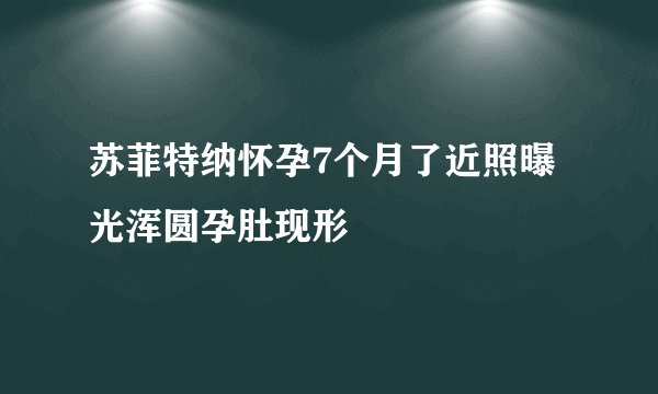苏菲特纳怀孕7个月了近照曝光浑圆孕肚现形