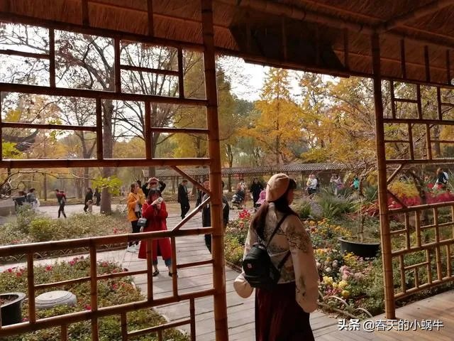 带着梦想去旅游，你想和谁一起？