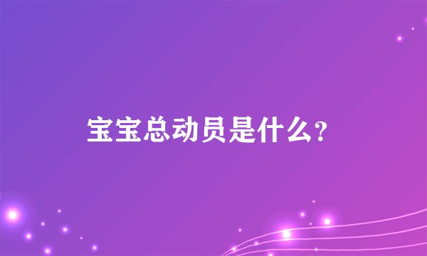 宝宝总动员是什么？