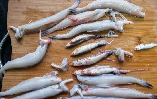 市民买到鱼中鱼是怎么回事？