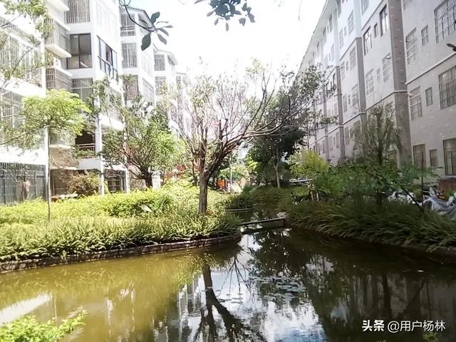 有没有人按照头条上赚钱的方法赚到人生第一桶金？