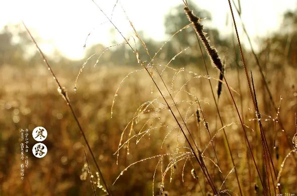 二十四节气图一套 美得令人窒息的二十四节气图