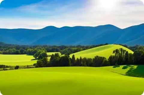 神奇塔罗牌占卜