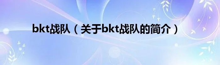 bkt战队（关于bkt战队的简介）