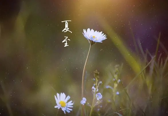 二十四节气图一套 美得令人窒息的二十四节气图