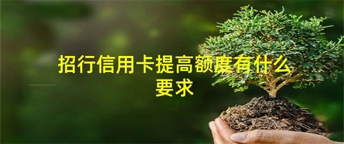招行信用卡提高额度有什么要求