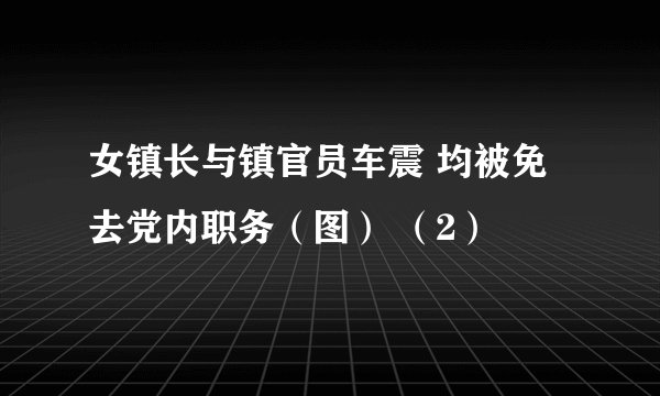 女镇长与镇官员车震 均被免去党内职务（图） （2）