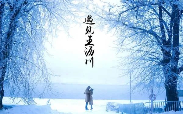 王沥川什么电视剧