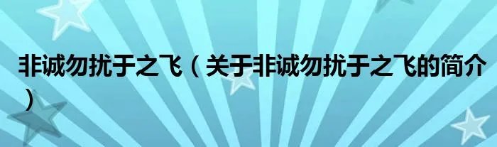 非诚勿扰于之飞（关于非诚勿扰于之飞的简介）