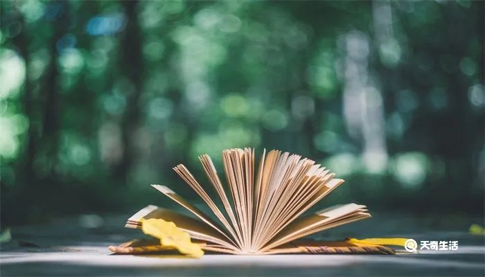 神马都是浮云什么意思